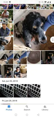 Google Photos android App screenshot 4