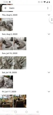 Google Photos android App screenshot 7